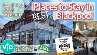 Best of the Best Hotels in Blackpool  Fossil Tree Hotel  Look Inside [upl. by Joseph452]