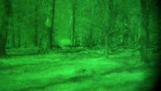 Night Lux NV Mono AX Wild 150 180 Meter drittel Mond kein IR Full HD [upl. by Rooney]