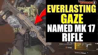 The Division 2  EVERLASTING GAZE Named MK 17 Rifle [upl. by Phalan]