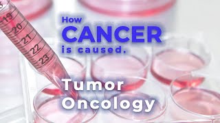 Cancer  Oncology  Oncogene  Tumor suppressor gene  Malignant tumor  Metastasis [upl. by Ellennej275]