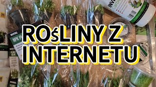 Zamówiłem rośliny przez internet [upl. by Salmon184]