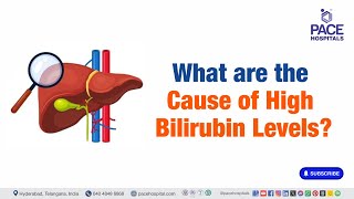 Cause of High Bilirubin Levels  What are the Cause of High Bilirubin Levels  Liverfunctiontest [upl. by Ruffo111]