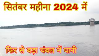 चंबल में कितना पानी छोड़ा गया है  Chambal Mein Kitna meter pani hai  Chambal ka water level [upl. by Naeloj]