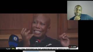 Julius Malema VS Afriforum Lawyer Destruction at its best [upl. by Hoashis860]