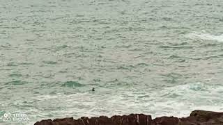 Baignade risquée sur les côtes de la corniche de Rabat [upl. by Anoirtac]