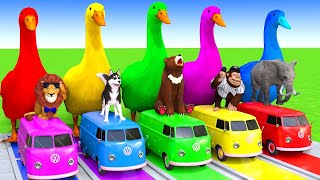 5 Giant Duck CartoonCowElephantTigerLionDinosaurPaint Wild Animals Crossing Fountain Animation [upl. by Orwin]