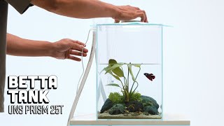 Simple Unique Betta Fish Tank  Ultum Nature Systems Prism [upl. by Ecilayram]