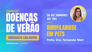 Especial Doenças do verão  Dirofilariose em pets [upl. by Notsreik664]