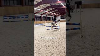 horse horseplay equestrian horseshowlife лошади equestrianshow horsejumping horseing riding [upl. by Gnouhp920]