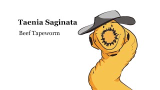 Beef Tapeworm  Taenia Saginata [upl. by Zohar]