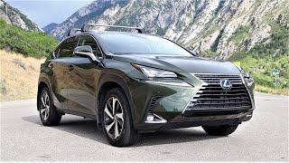 2021 Lexus NX 300h Luxury Is The New NX Worth Over 50000 [upl. by Aicatan]