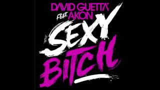 David Guetta ft Akon  Sexy Bitch HQ [upl. by Natloz701]