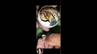 Balut my favourite street food exoticfood philippines wow [upl. by Blanche]