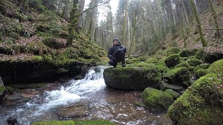 Rundwanderung Monbachtal  Monbachschlucht  Bad Liebenzell [upl. by Vey]