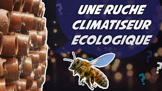 Une ruche climatiseur écologique 🐝  30 jours de science [upl. by Velick]