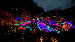 Snowy Christmas Lights At Butchart Gardens Victoria BC Canada [upl. by Edelsten245]