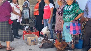 Día de plaza en tlacolula de matamoros oaxacaoaxaca tradiciones viral mercados [upl. by Adnanref]