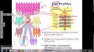 DNA fingerprinting [upl. by Anoiek]