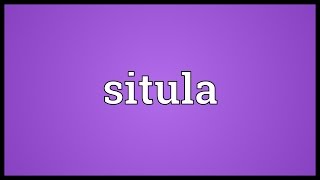 Situla Meaning [upl. by Joycelin596]