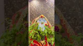 Tulsi ma dulhan ke rup meshortsfeed [upl. by Guilbert]