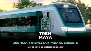 Tren Maya Mar de selva De Escárcega a Bacalar [upl. by Nogam]