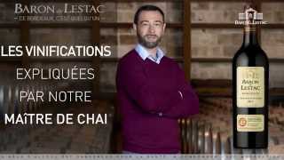 Découvrir le processus de vinification  Introduction [upl. by Alamat]