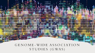 Understanding Genome Wide Association Studies GWAS Explained in 7 Minutes [upl. by Leuqar]