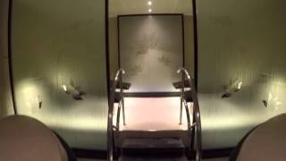 The Enclave Lotus Spa Royal Princess  Iglu Cruise [upl. by Godwin]