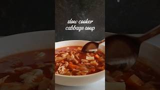 slow cooker cabbage soup [upl. by Tacita146]