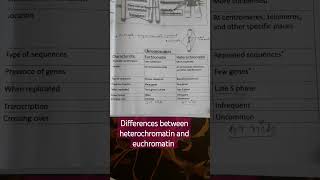 differences between heterochromatin and euchromatin region [upl. by Aldred]