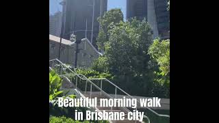 Beautiful brisbane city morning walk [upl. by Lyall]