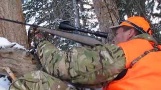 quotElk Slides 200yds Down Mountainquot 2013 DIY Colorado 5X5 Father amp Son Hunt [upl. by Siskind]