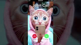 JOHN CAT 🐯 is CALLING 😂 johnycat [upl. by Pfister]