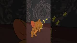 Tom y Jerry en Latino  shorts  WBKidsLatino​ [upl. by Barnebas]