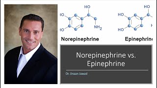 What Is The Difference Between Norepinephrine and Epinephrine [upl. by Yazbak]