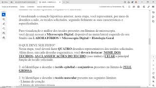 2 a Identifique e desenhe oÂ tecido epitelialÂ eÂ conjuntivosÂ presentes na lÃ¢mina deÂ PELE GROSSA [upl. by Bernat]