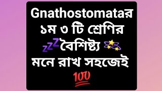 Superclass 2  Gnathostomata 💤 Chondrichthyes Actinopterygii amp Sarcopterygii এর বৈশিষ্ট্য 💯 [upl. by Hales171]