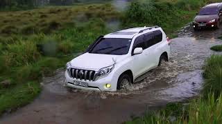 subaru outbacksTZGRange Rovers drive to lake ellis in mt kenya on a rainy season [upl. by Anehta]