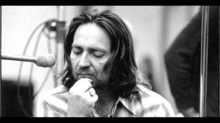 I Still Cant Believe Youre Gone  Willie Nelson [upl. by Esbensen]