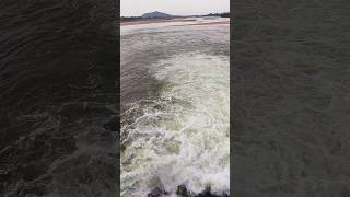 Gayaji Dam Indias longest rubber dam on the Falgu River travel trending shorts nature huge [upl. by Goodspeed]