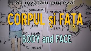 Sa invatam engleza  CORP şi FAŢĂ  Body and Face  Lets learn English [upl. by Ingrid466]