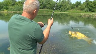 Pecanje soma šarana i štuke kod Čačka  Zapadna Morava jezero Samaila i Međuvršje FULL VIDEO [upl. by Enyak]