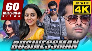 Businessman  बिजनेसमैन 4K ULTRA HD Superhit Full Movie  Ram Pothineni Rakul Preet Singh [upl. by Bordy287]