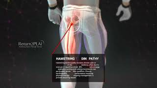 Hamstring Tendinopathy [upl. by Haelat108]