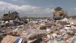 Tossed Out Food Waste in America [upl. by Ahsap]