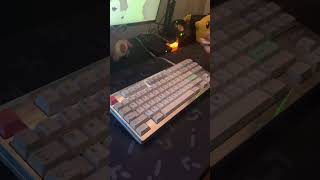 Gehirn Keyboard Sound Test shorts keyboard custom [upl. by Gayleen]