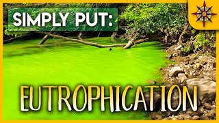 Eutrophication Explained [upl. by Tremayne400]