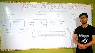 Bone Arterial Supply Bone part 5Bd ChurasiaGeneral AnatomyChapter 2Bone Blood supply Dr Anees [upl. by Nefen]