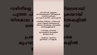 Kasavinal song lyrics Ft hanan shaah A Jubair Muhammed lyrics trendingshorts [upl. by Akemhs562]