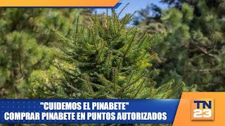 quotCuidemos el Pinabetequot comprar pinabete en puntos autorizados [upl. by Nehgaem642]